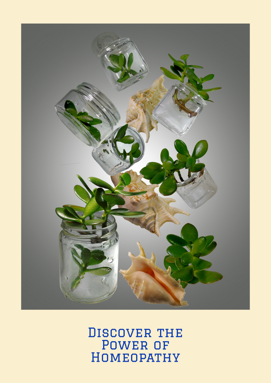 Exploring Homeopathy: A Holistic Approach to Healing