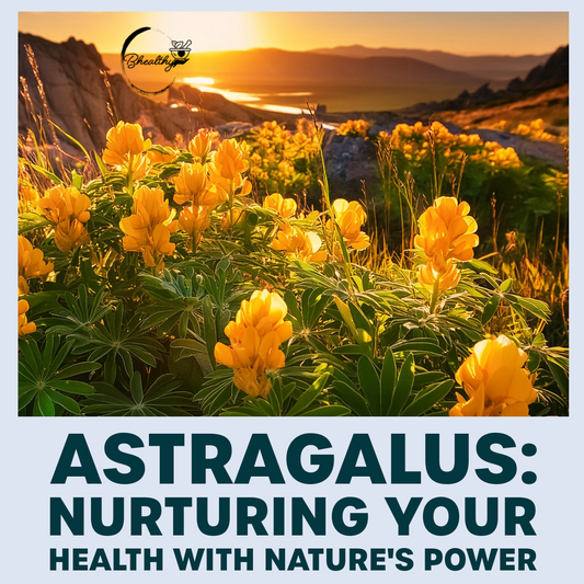 Discover the Power of Astragalus