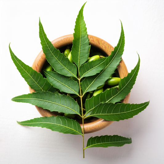 Discover Therapeutic Benefits of Neem for Skincare
