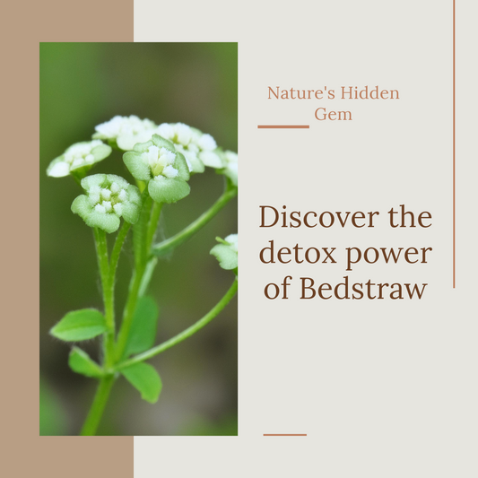 Bedstraw: Nature's Detox Dynamo