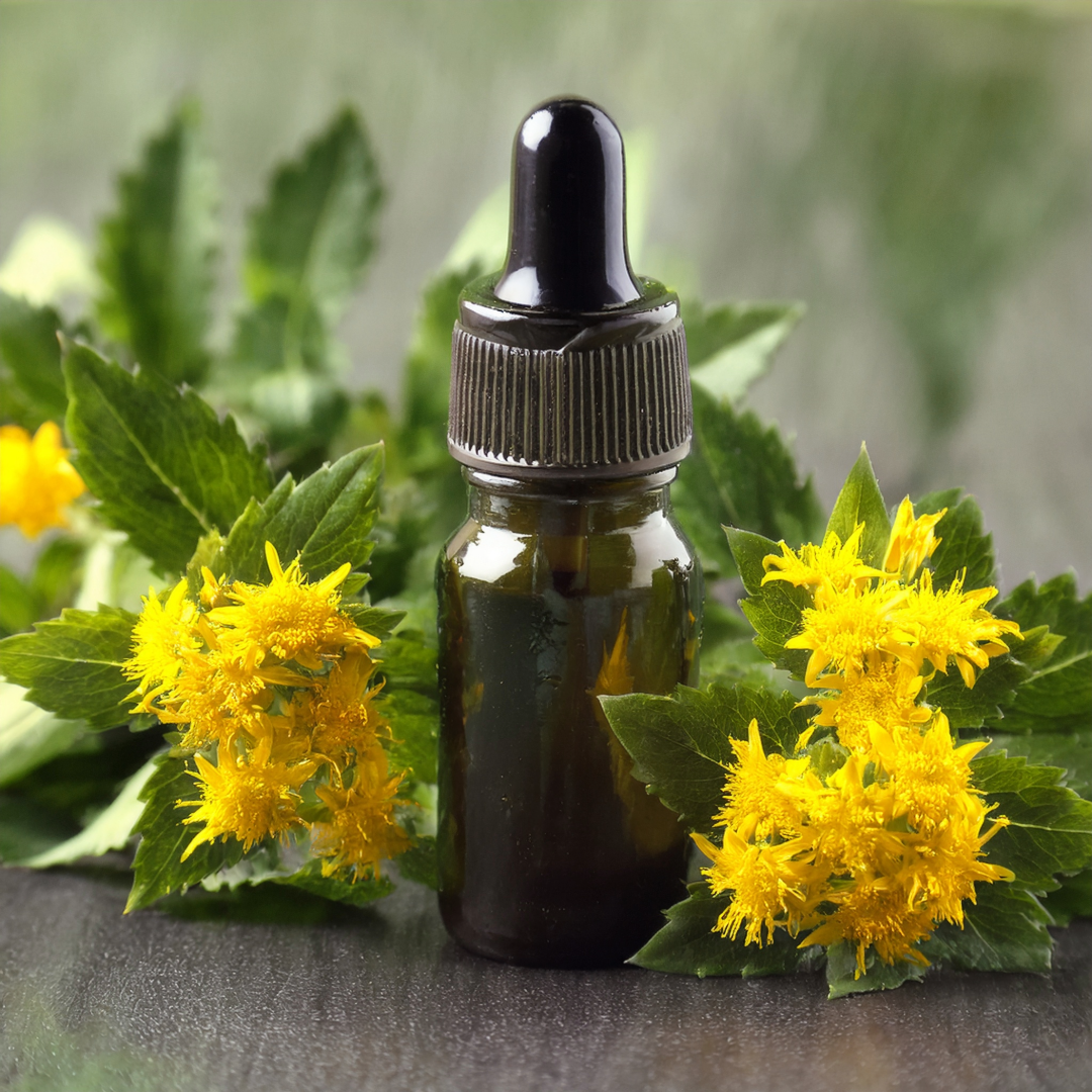 Arctic root Herbal Extract