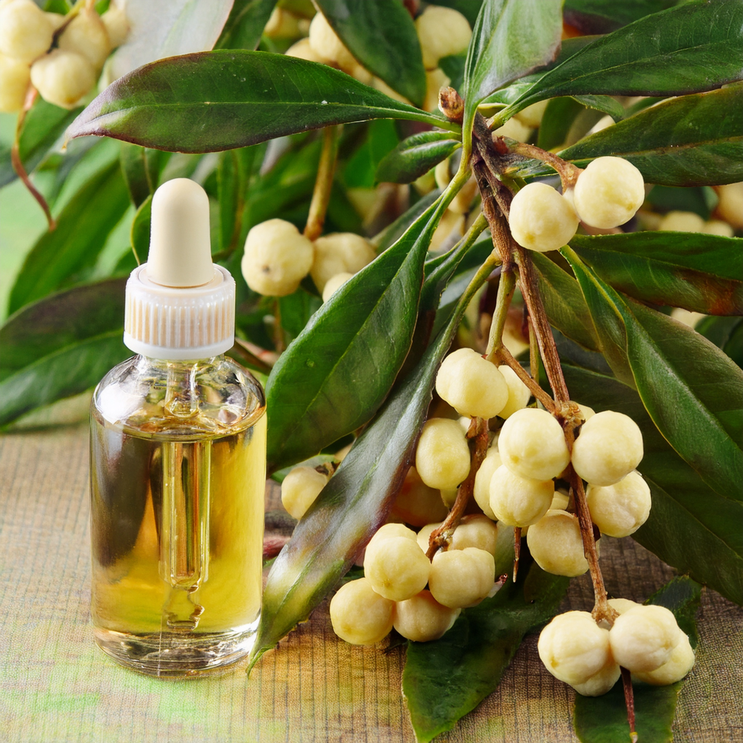 Assegaai Herbal Extract