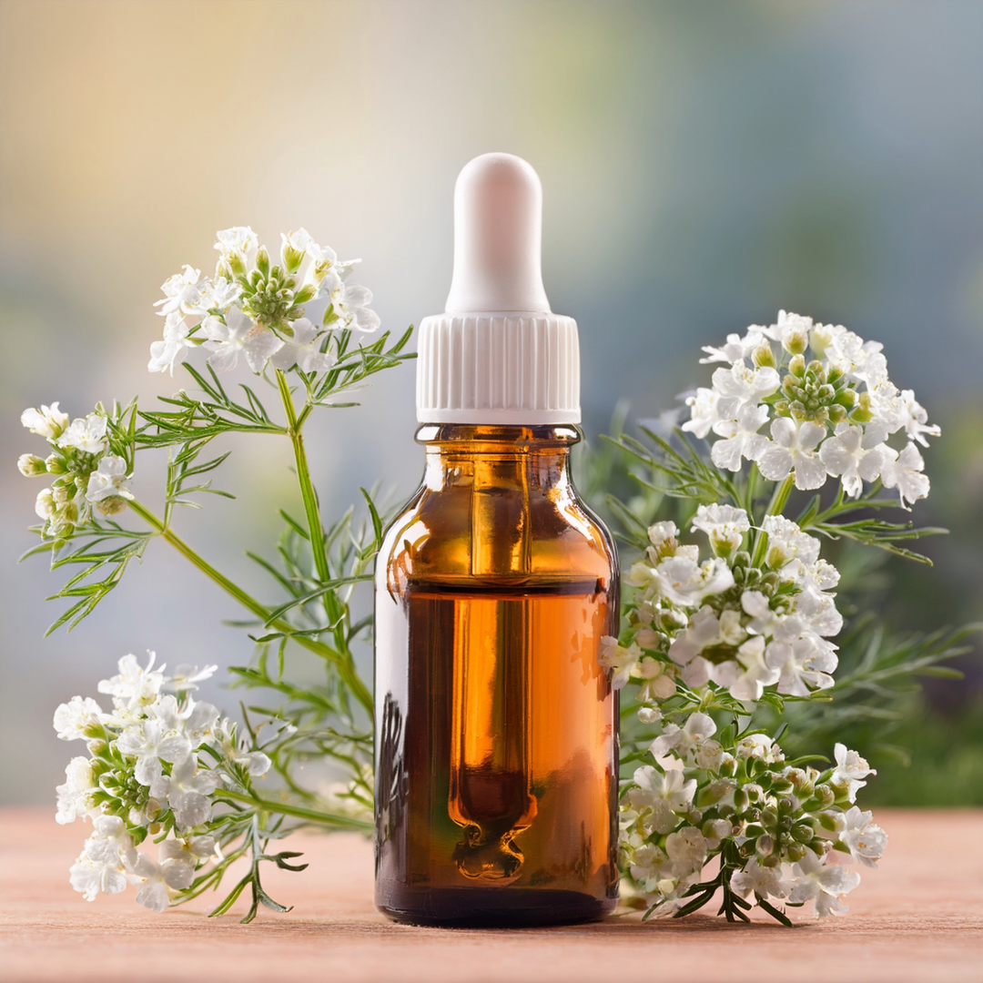 Brahmi Herbal Extract