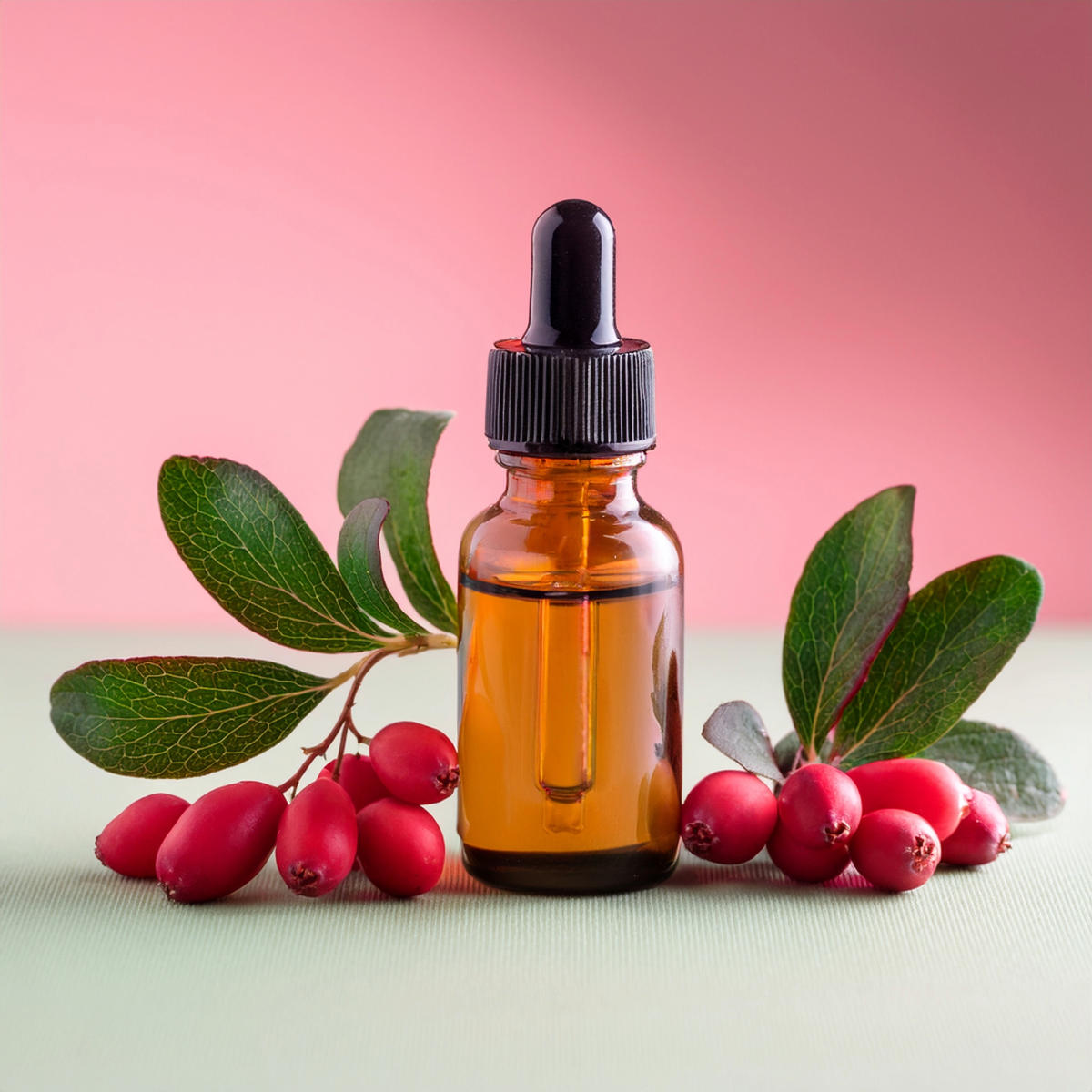 Bearberry Leaves Herbal Extract