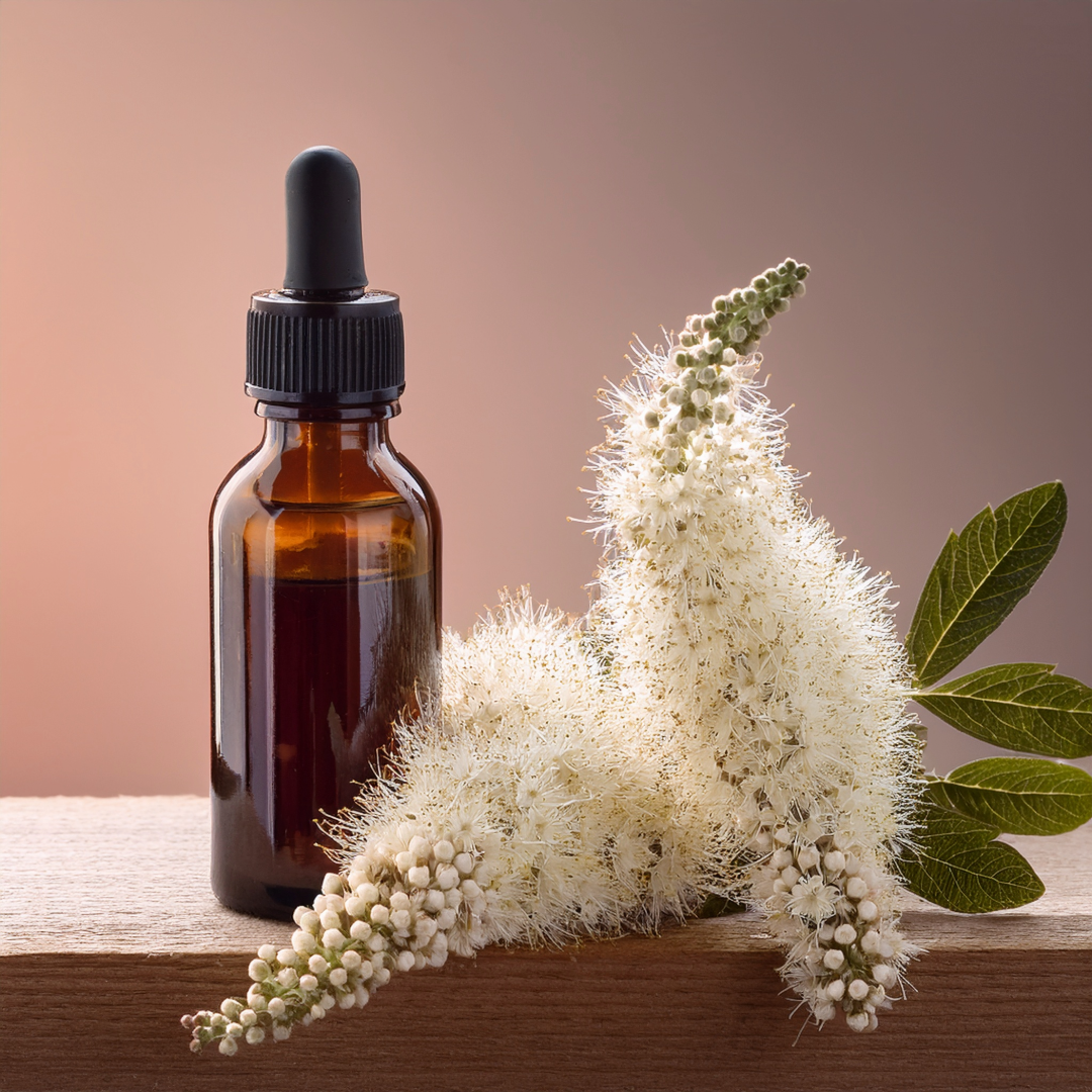 Black cohosh Herbal Extract