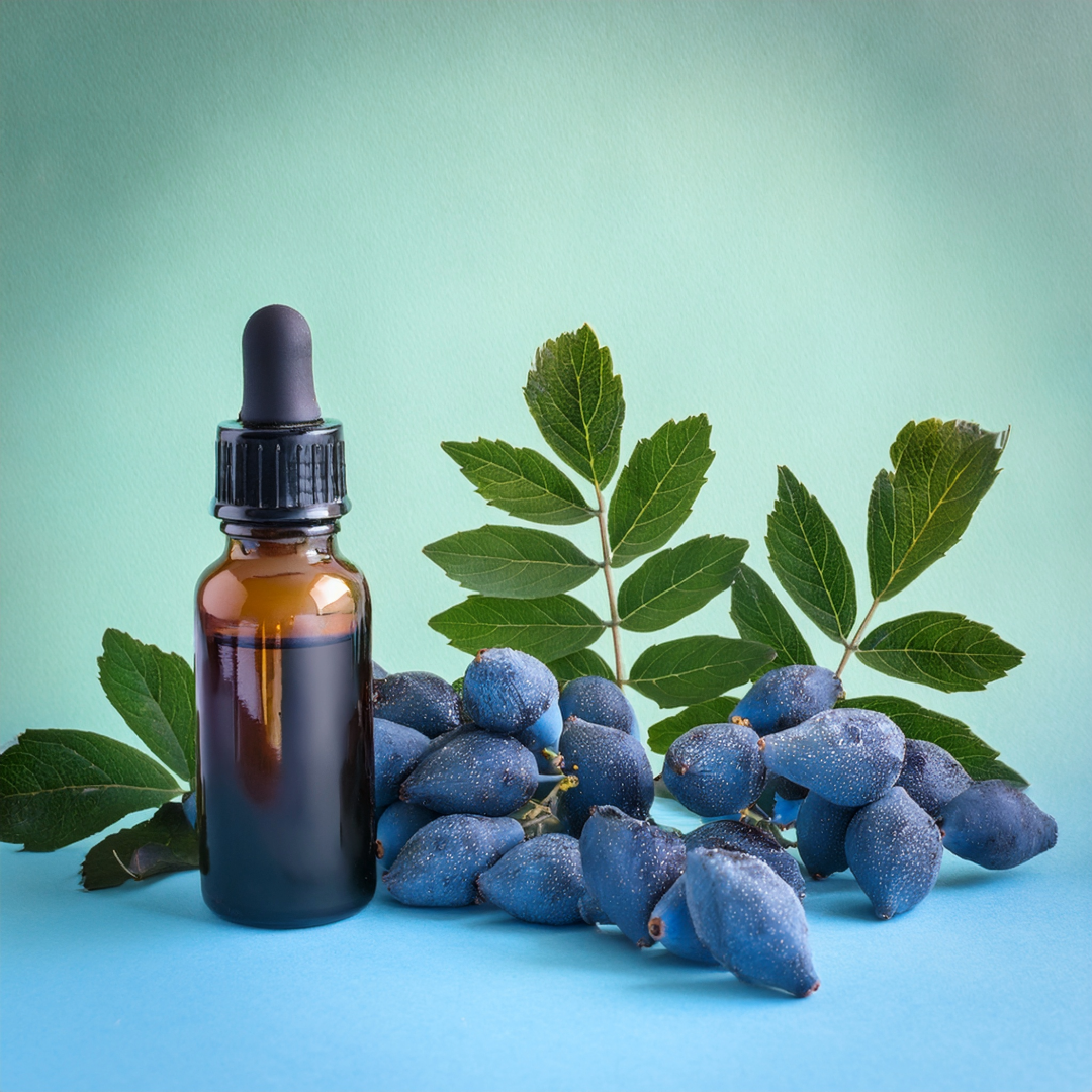 Blue cohosh Herbal Extract