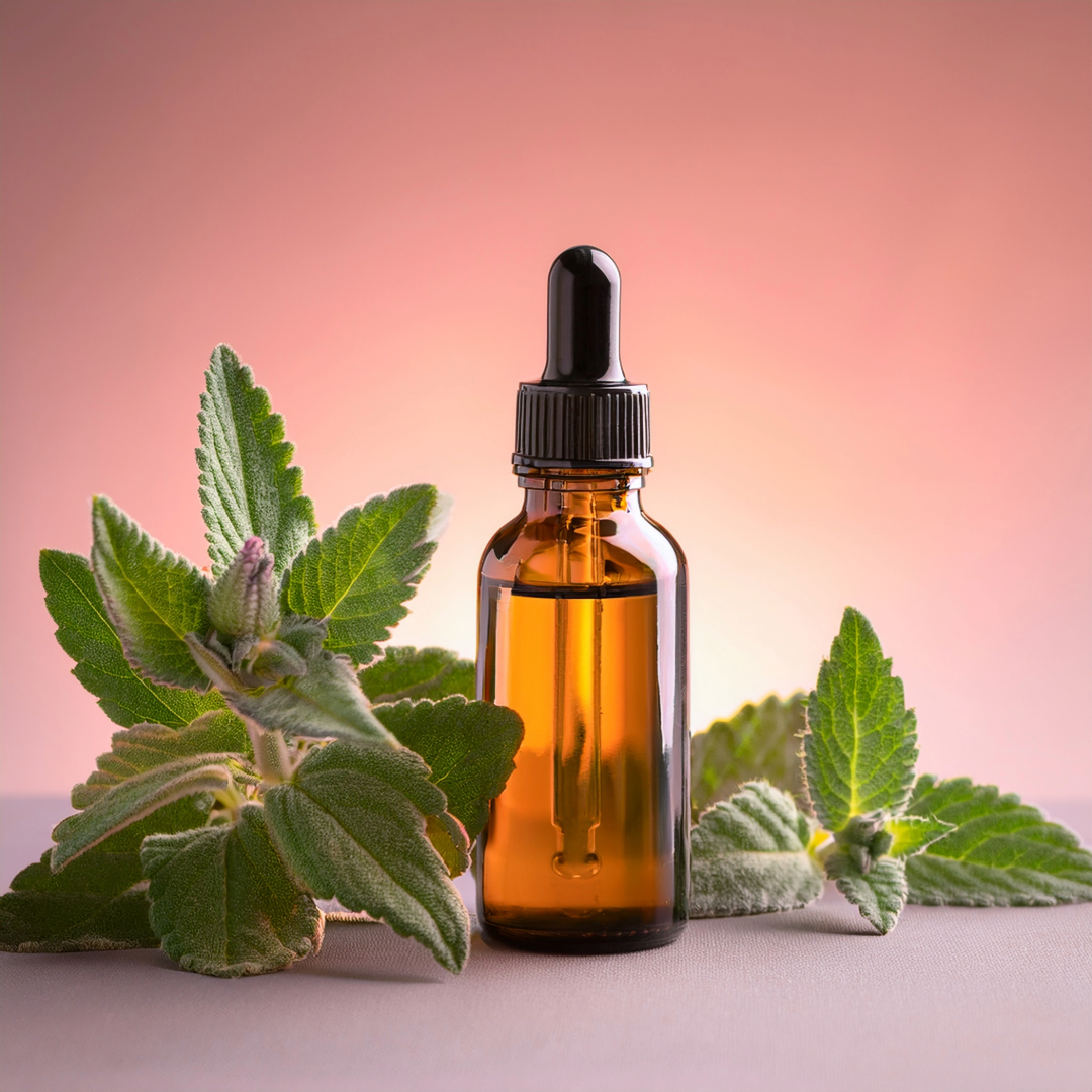 Boldo Herbal Extract