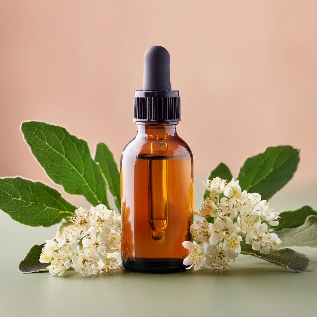 Boswellia Herbal Extract