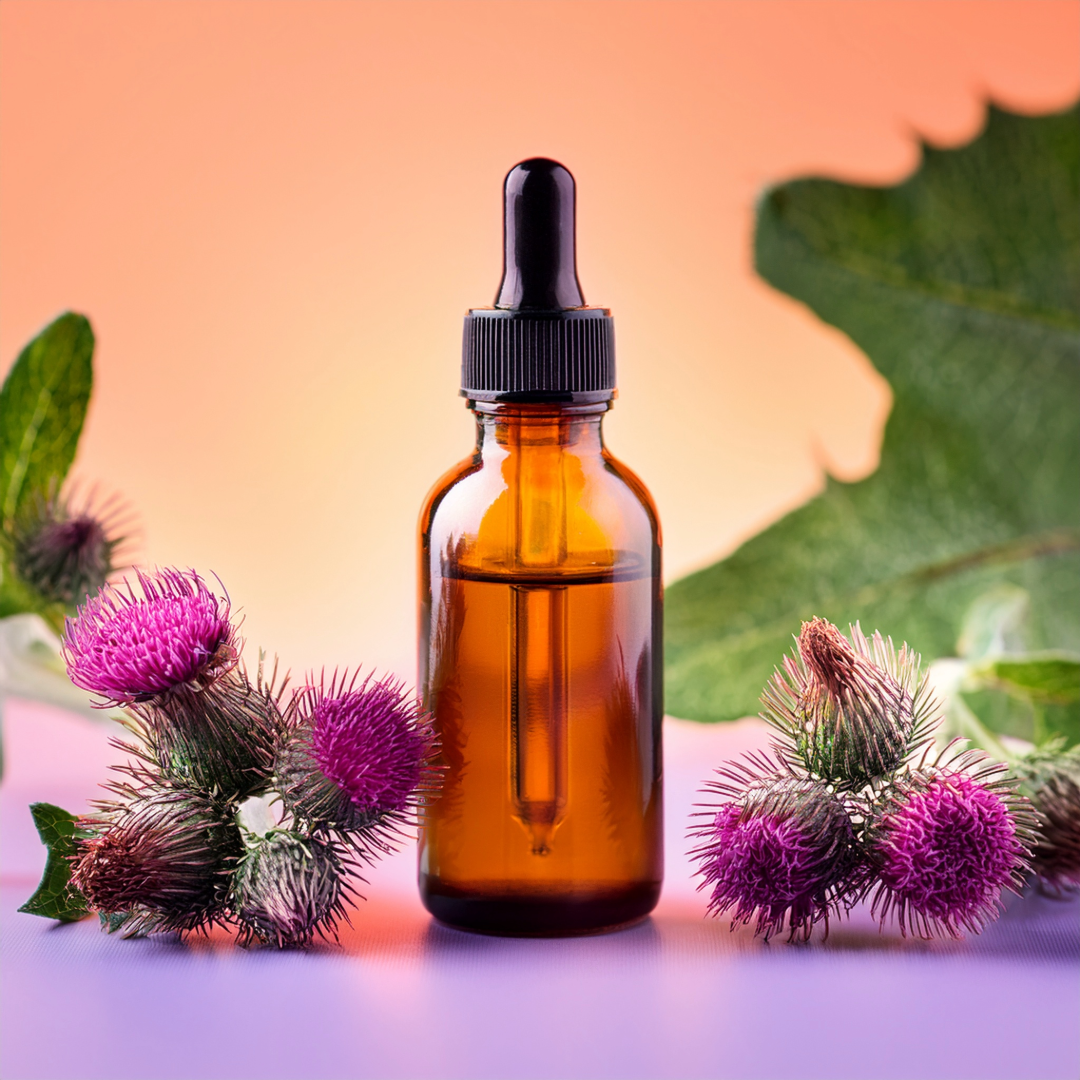 Burdock Herbal Extract