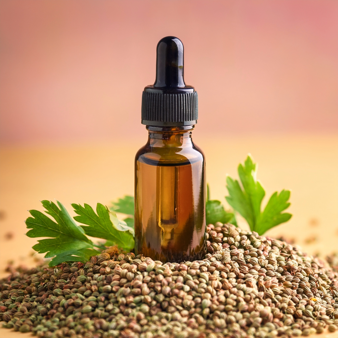 Celery seeds Herbal Extract