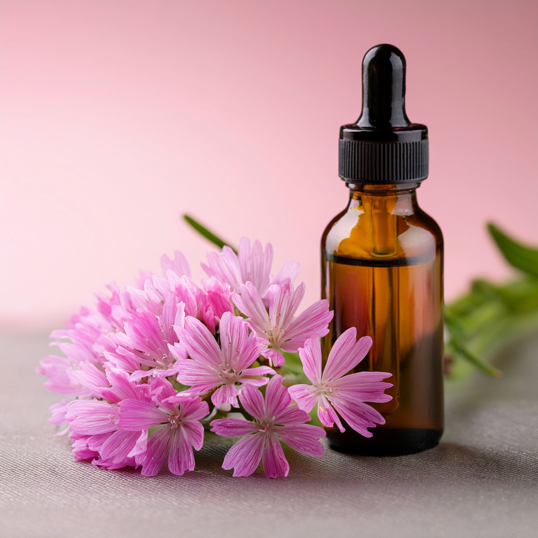 Centaury Herbal Extract