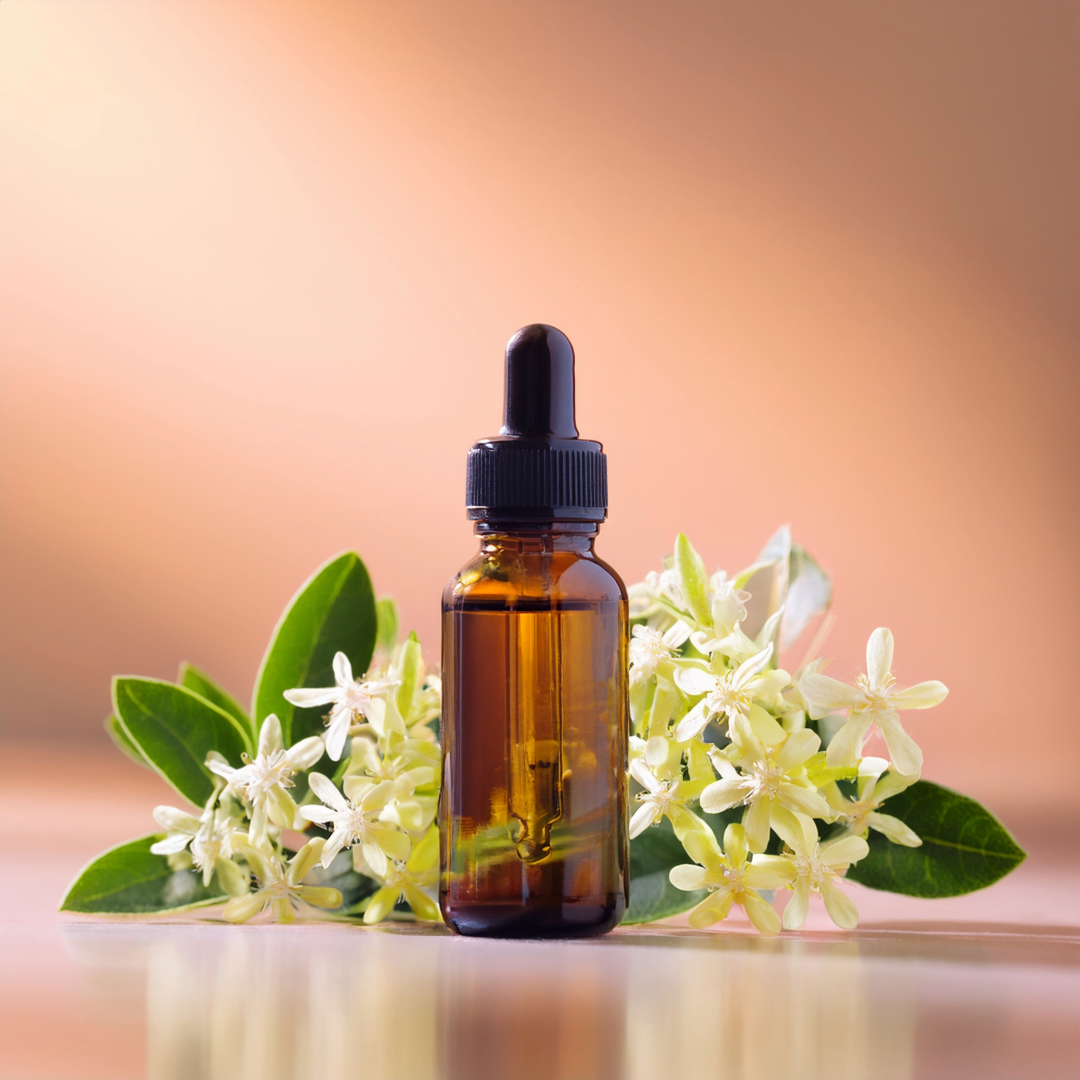 Cheesewood Herbal Extract