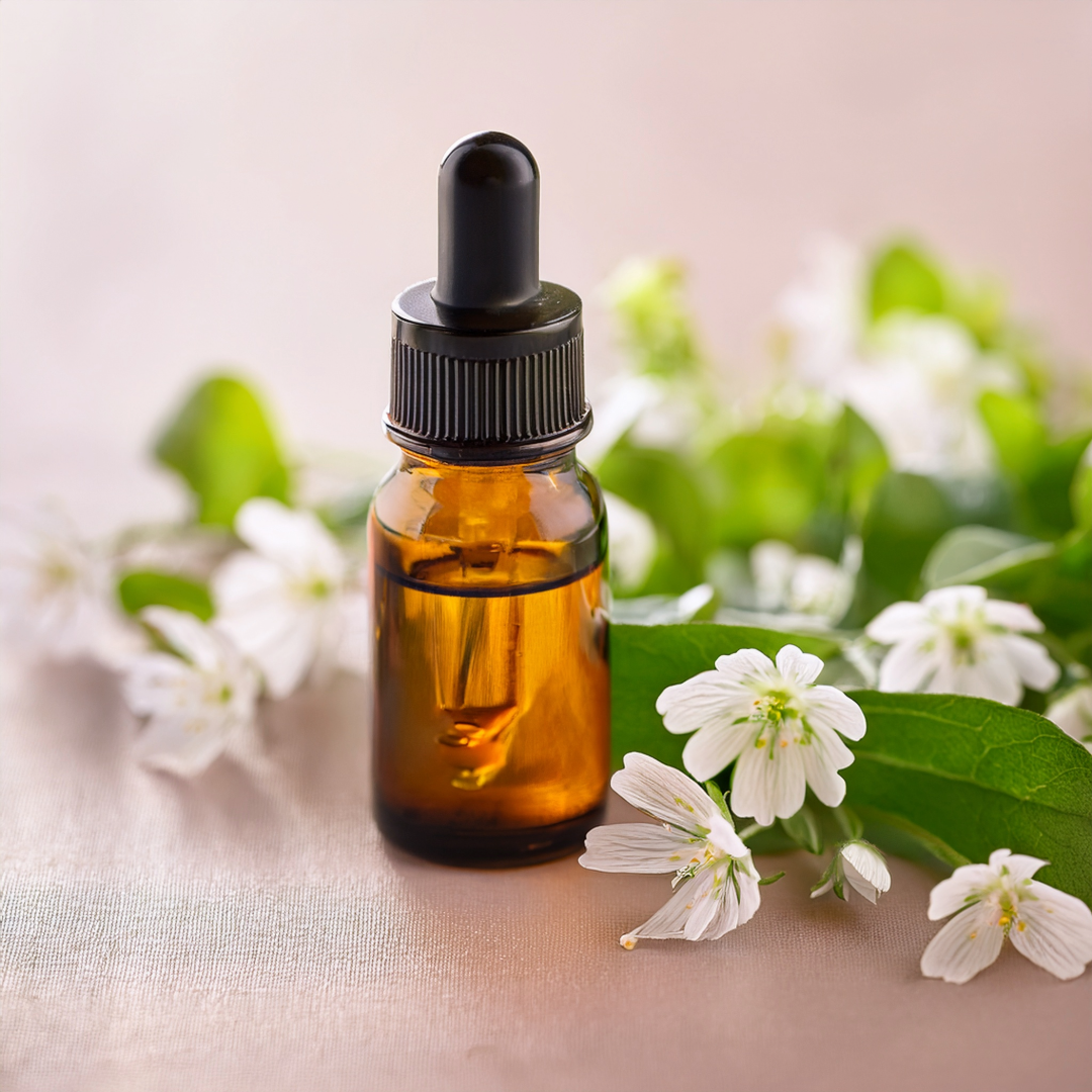 Chickweed Herbal Extract