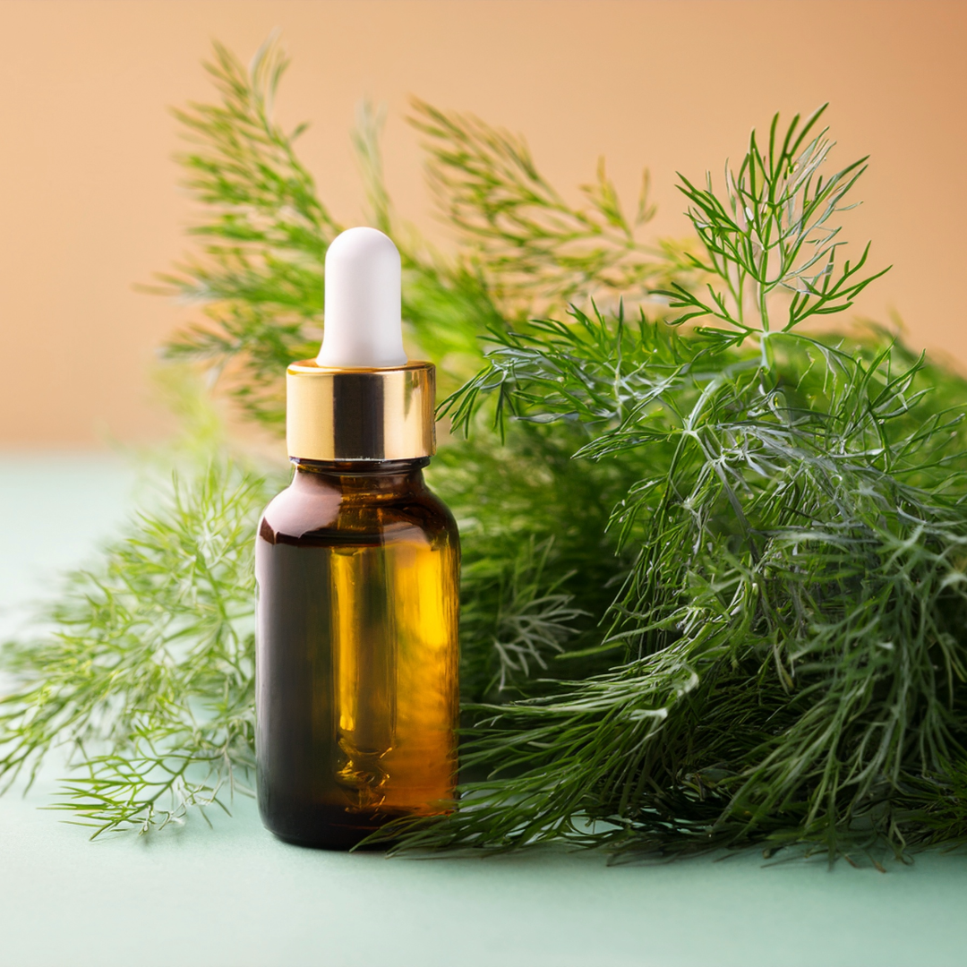 Dill Herbal Extract