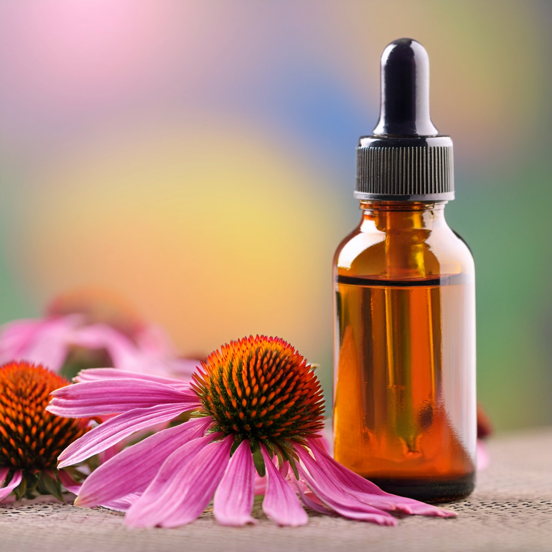 Echinacea Herbal Extract