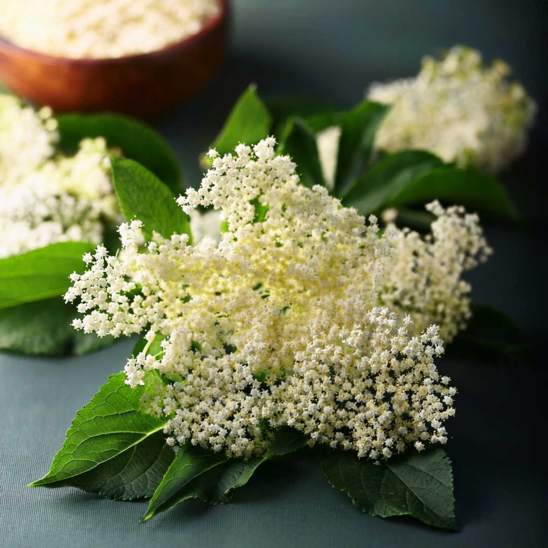 Elderflower Herbal Extract