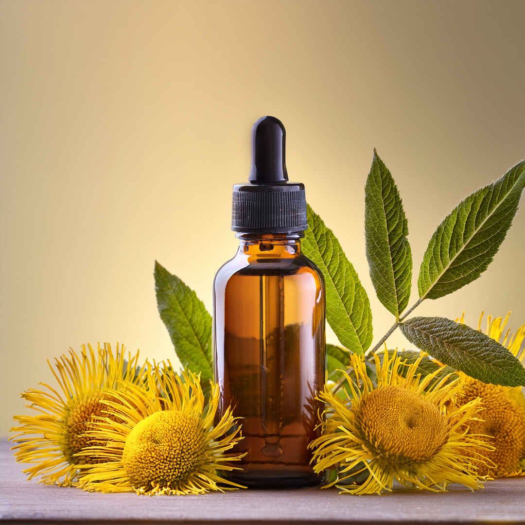 Elecampane Herbal Extract