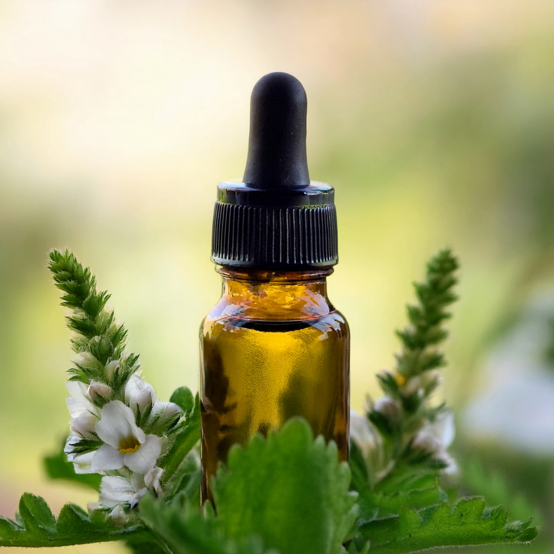 Eyebright Herbal Extract