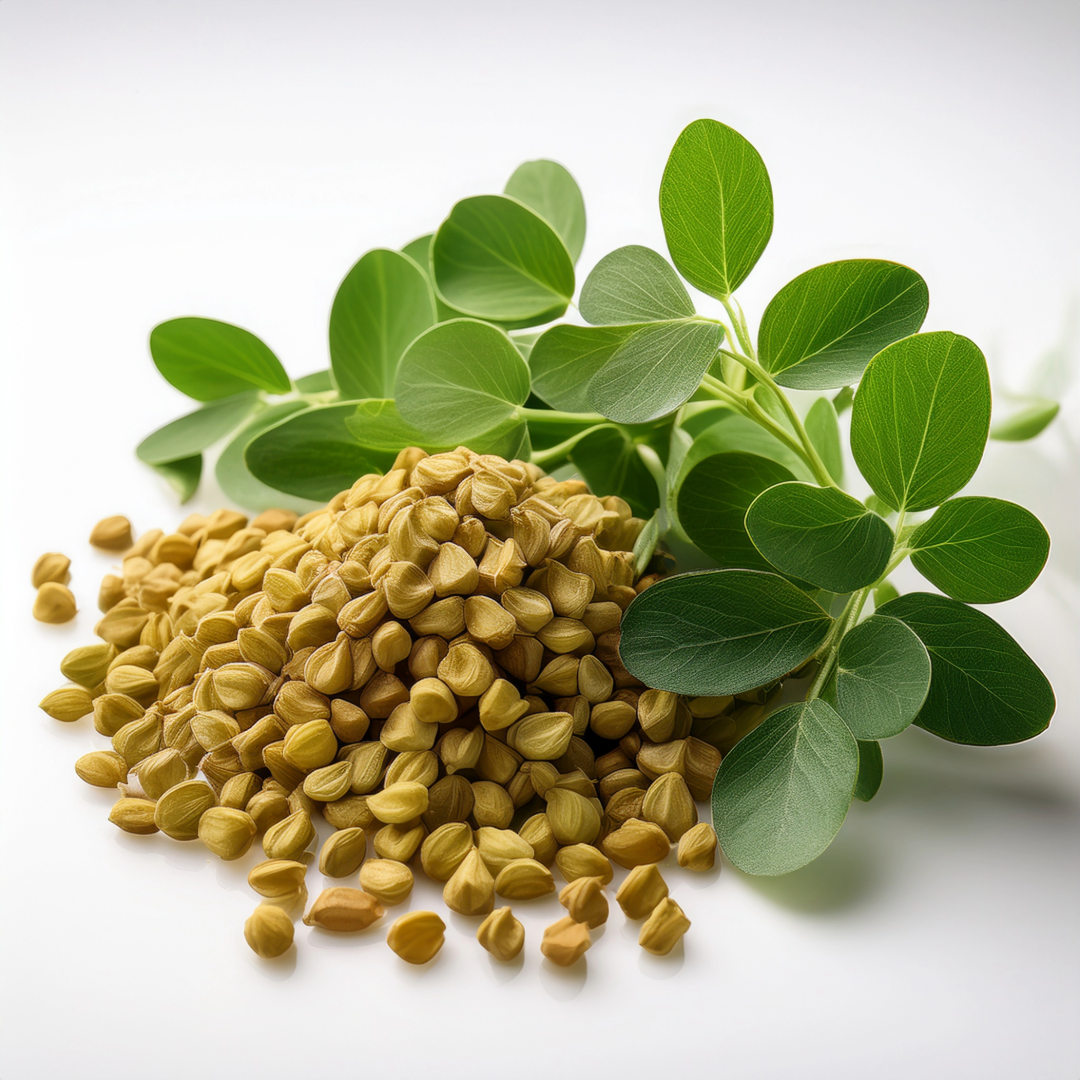 Fenugreek Herbal Extract