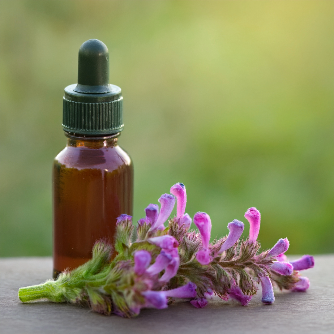 Fumitory Herbal Extract