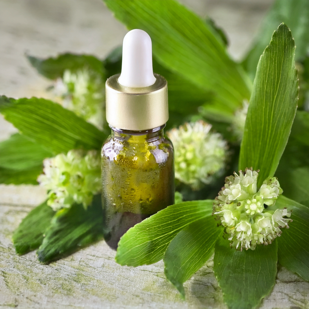 Golden Seal Herbal Extract