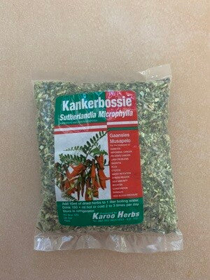 Kankerbossie (Sutherlandia Microphylia) - medicinal shrub with red-orange flowers.