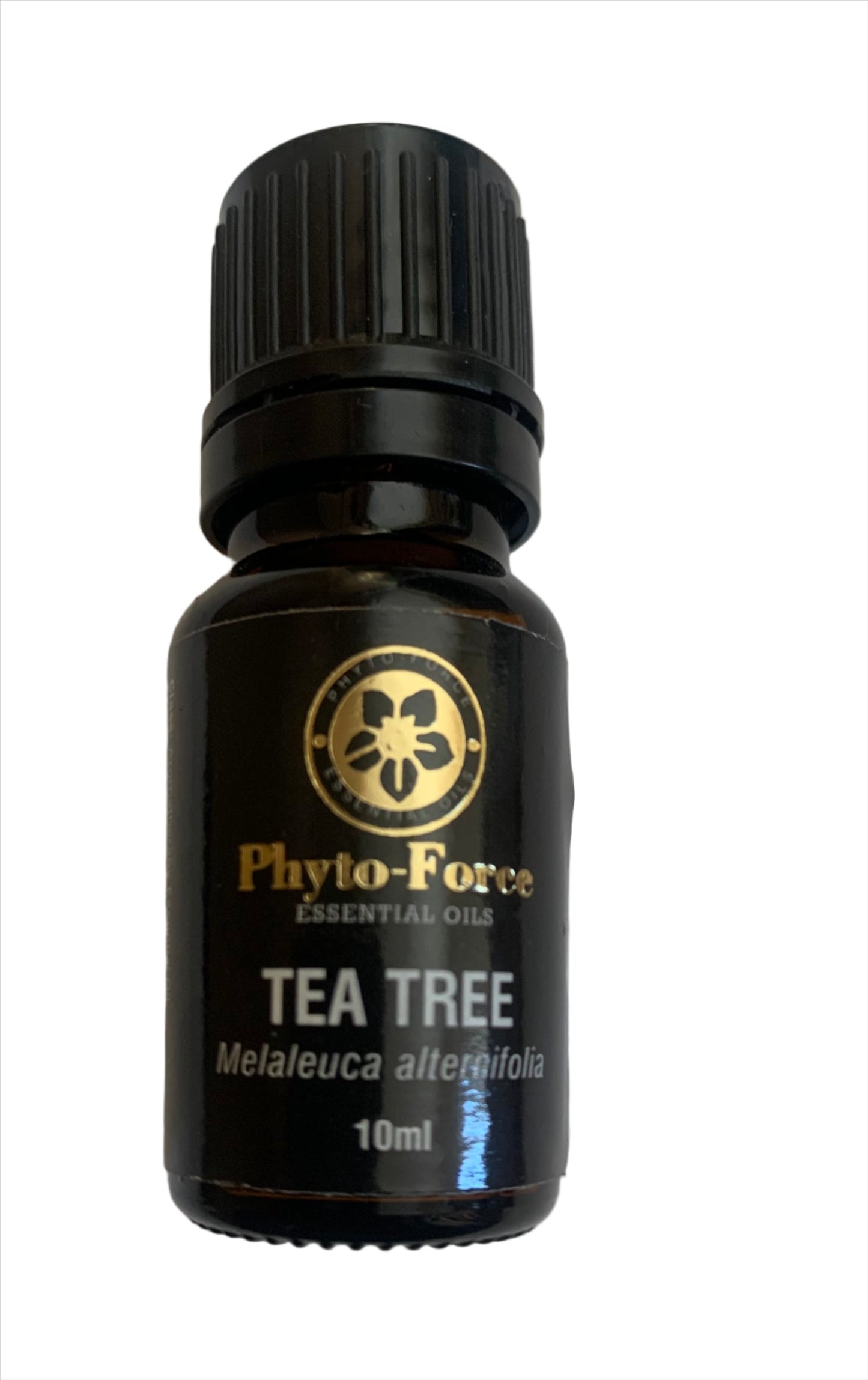 A bottle of Phyto-Force Organic Tea Tree Essential Oil with its natural and organic label, placed next to fresh tea tree leaves.