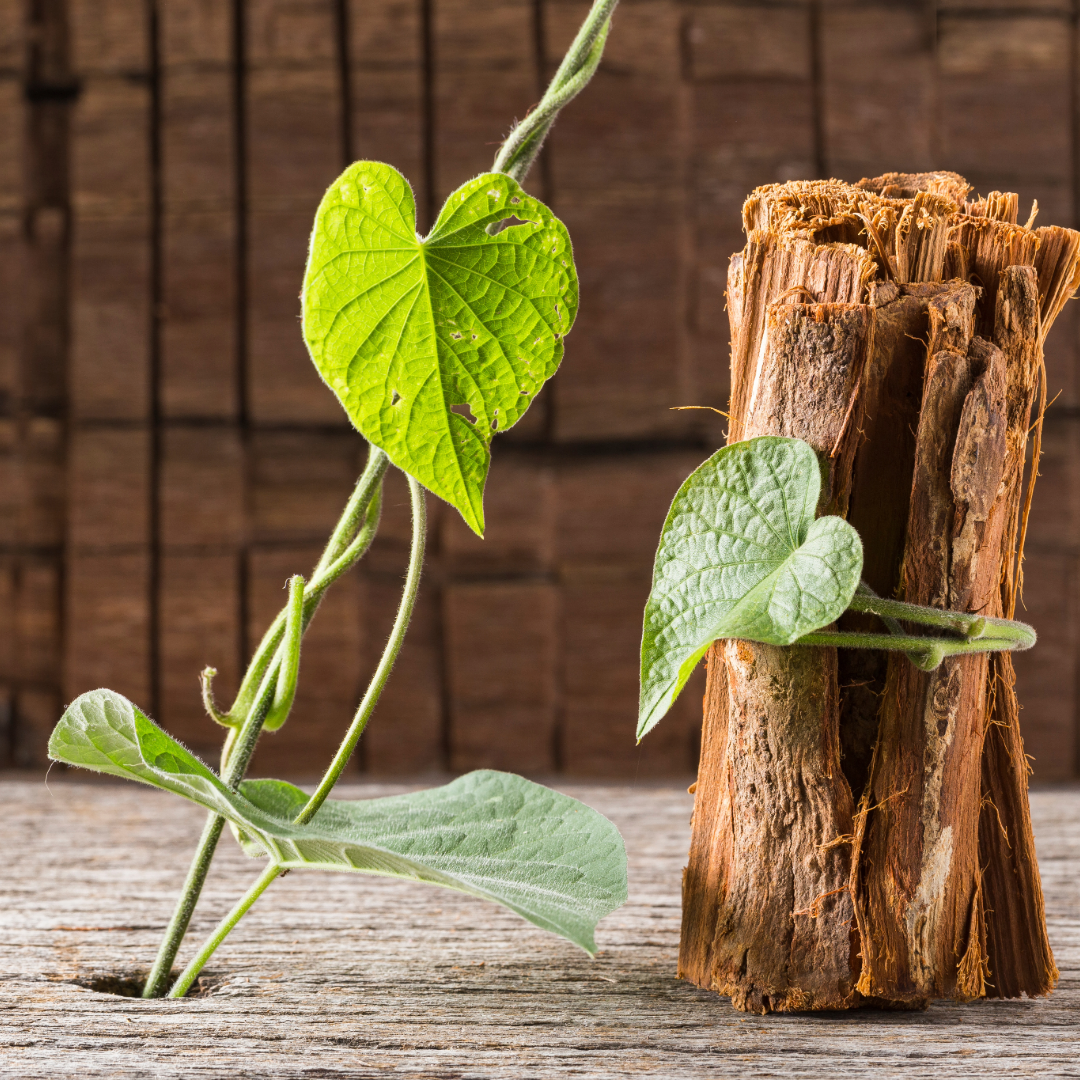 Cats Claw Herbal extract