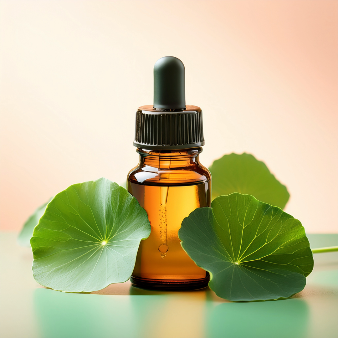 Gotu Kola Herbal Extract