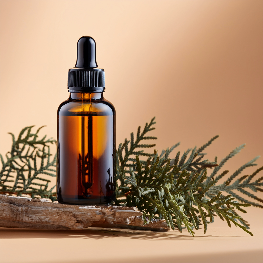 Black Stinkwood Herbal Extract