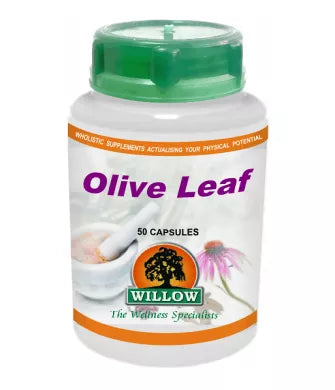 Olive Leaf