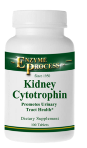 Enzyme Process Kidney Cytotrophin-Natural Support for Kidney Health