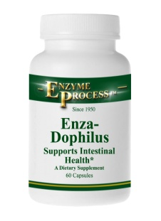 Enzyme Process Enza-Dophilus-Probiotic Support for Digestive Wellness