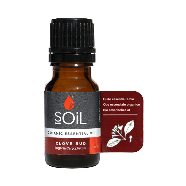 Clove bud organic essential oil bottle, 10 ml amber glass with black cap