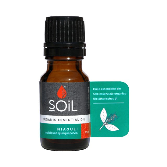 Niaouli organic essential oil 10 ml bottle with black cap and amber glass vial