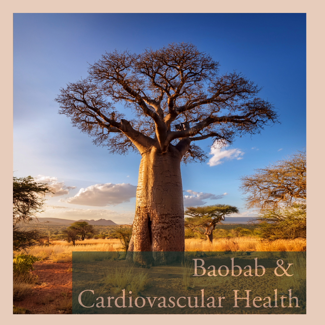 Baobab and Cardiovascular Health