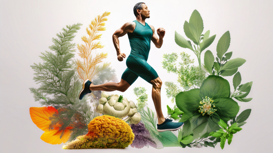 Herbal Extracts for Men’s Health: Natural Solutions for Vitality & Balance