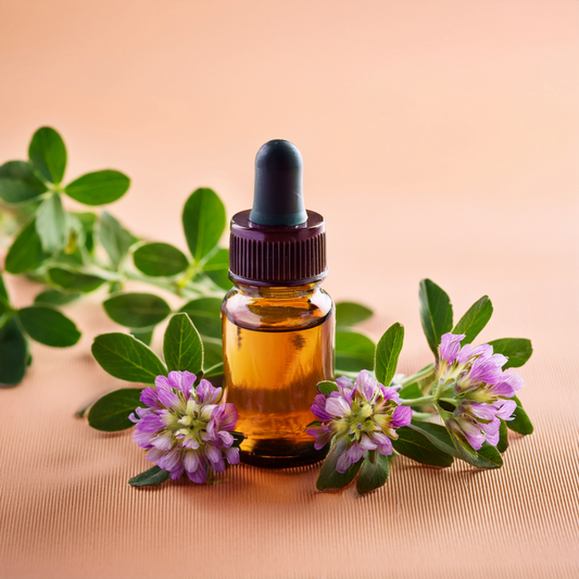 Alfalfa Herbal Extract