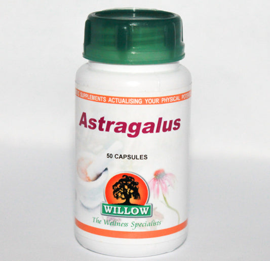 Astragalus