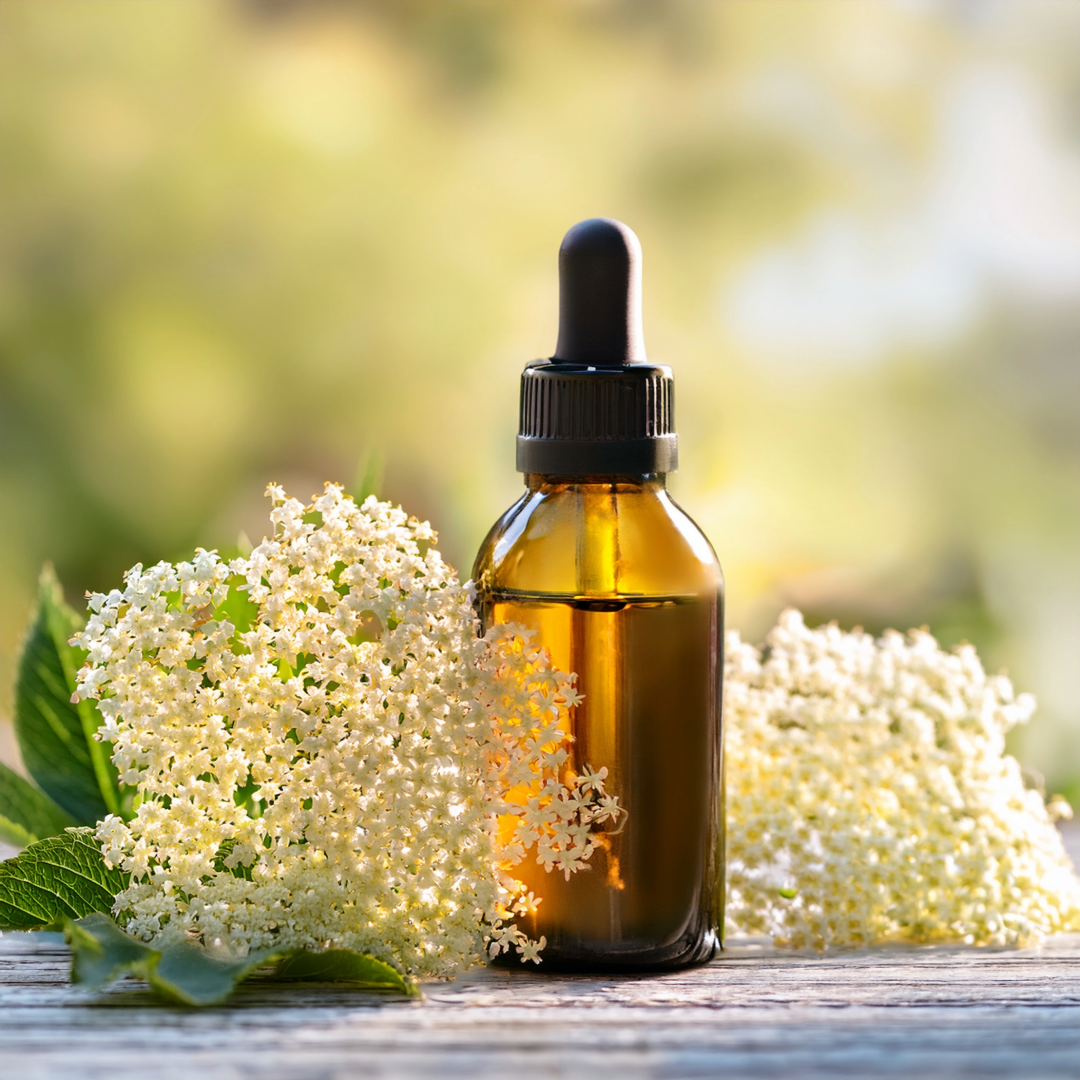 Elderflower  Herbal Extract