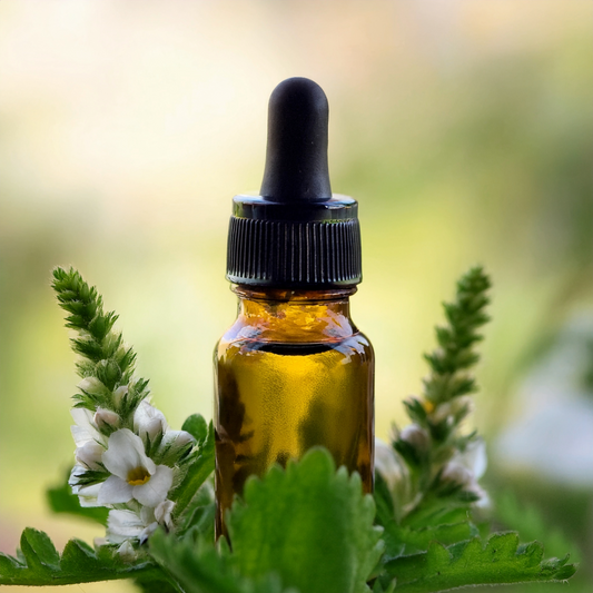 Eyebright Herbal Extract