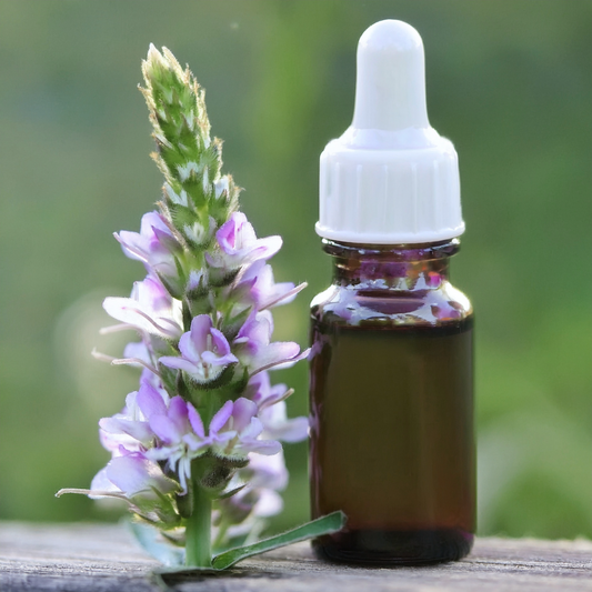 Herbal Extract: Goat’s Rue