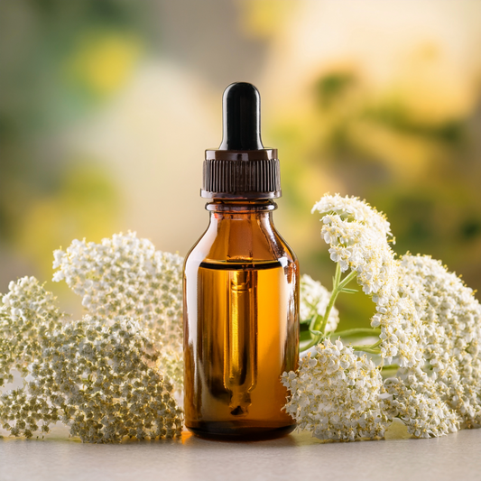 Meadowsweet Herbal Extract