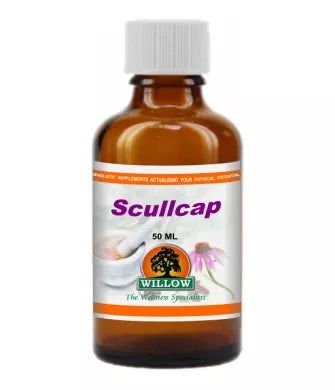 Scullcap