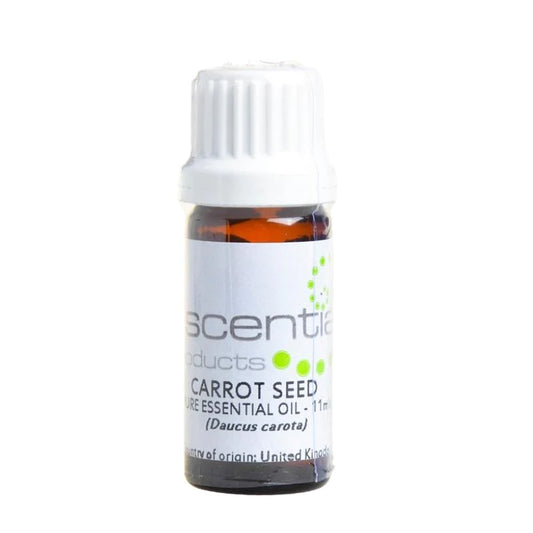 Escentia Carrot Seed Essential Oil-Revitalizing Skin Care
